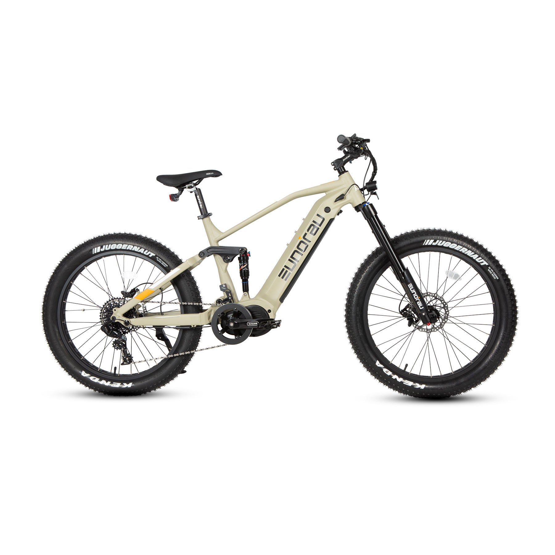 fat tire electric bike 1000w mid drive