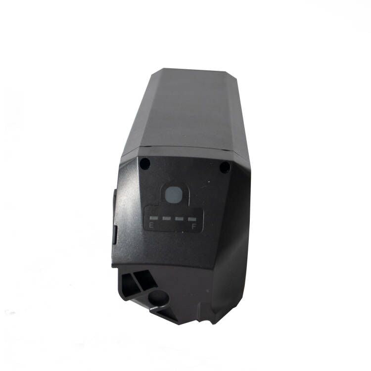 EUNORAU 14Ah/20Ah Internal Battery for CARGO Ebikes
